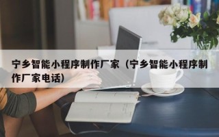 冠县宁乡智能小程序制作厂家（宁乡智能小程序制作厂家电话）